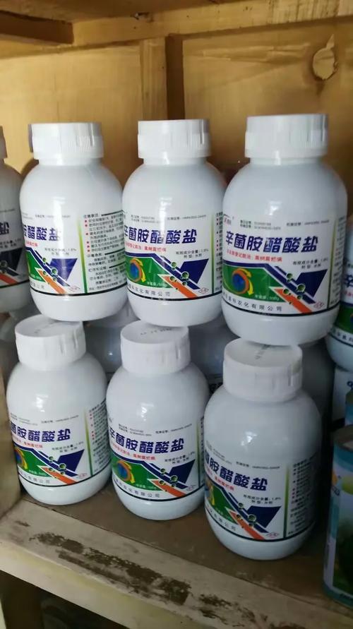 丰果科技以先进的技术,以优质的产品,以优秀的服务致力于果业,服务于